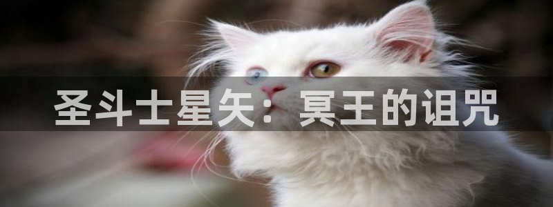 漫画岛官网免费观看